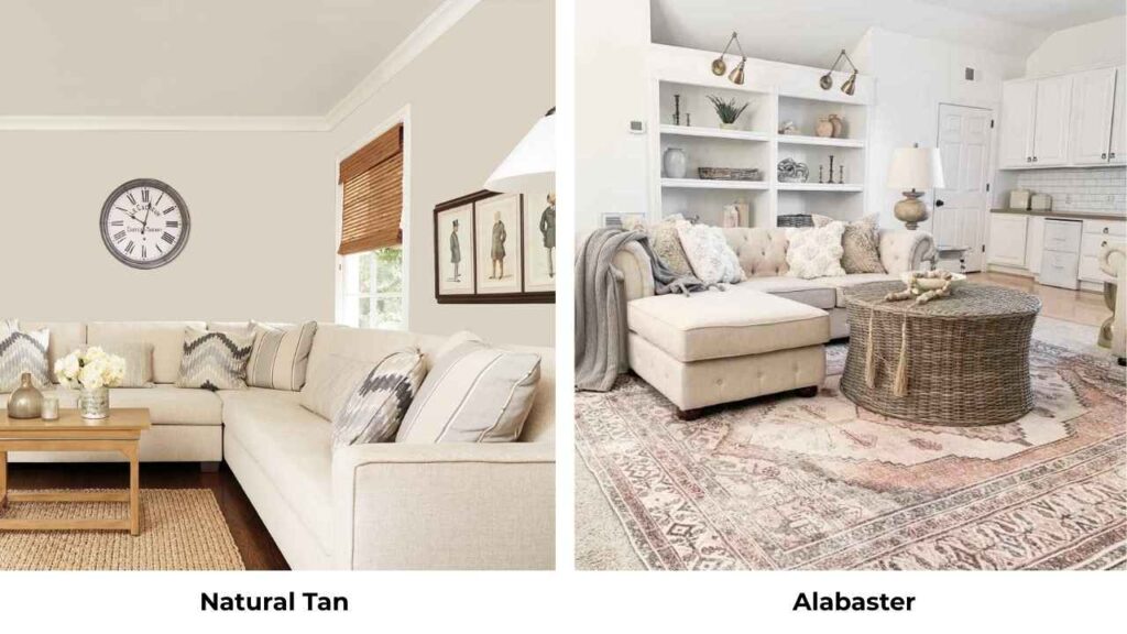 Natural Tan Vs Alabaster