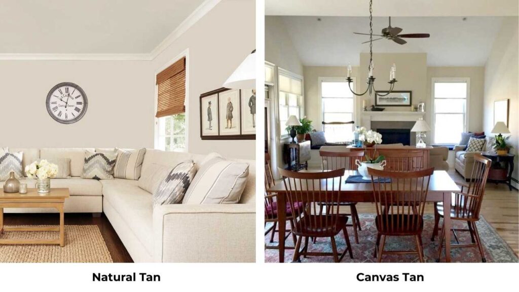 Natural Tan Vs Canvas Tan