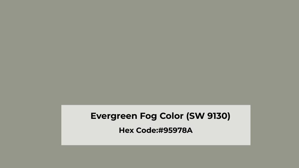 Overview of Evergreen Fog Color (SW 9130)