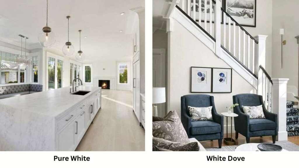 Pure White Vs White Dove