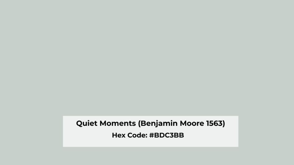 Color Profile of Quiet Moments (Benjamin Moore 1563)