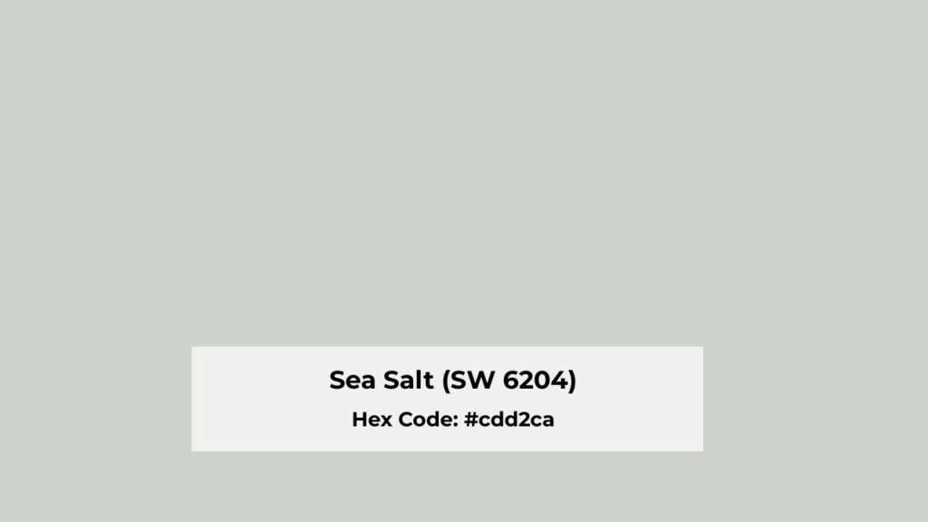 Color Profile of Sea Salt (SW 6204)