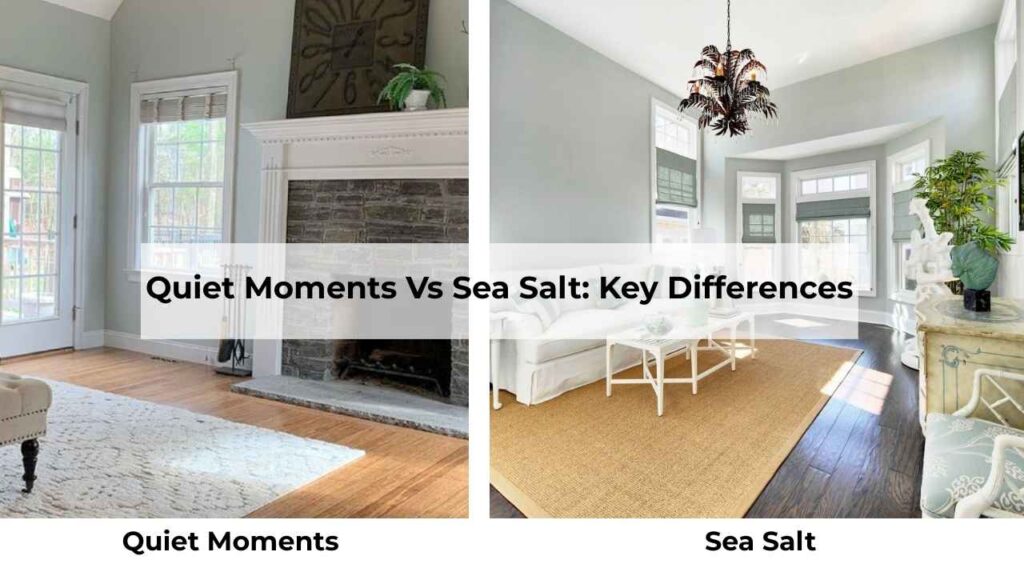 Quiet Moments Vs Sea Salt: Key Differences