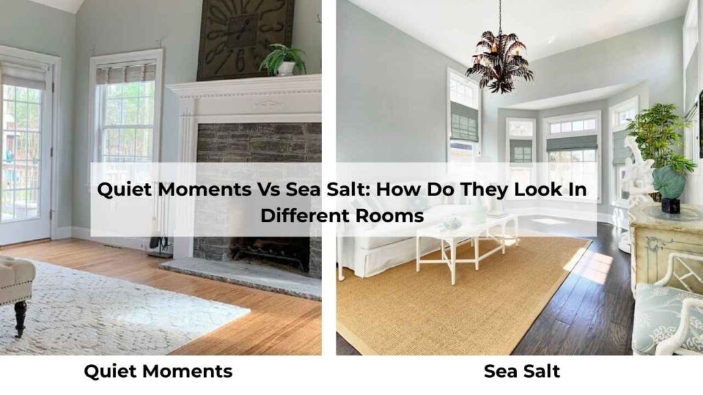 Quiet Moments Vs Sea Salt: How Do They Look In Different Rooms