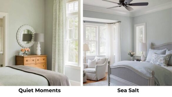 Quiet Moments Vs Sea Salt: Which Paint Color Works Best in Your Home?