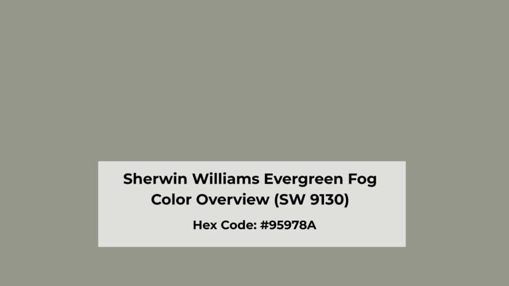 Sherwin Williams Evergreen Fog Color Overview (SW 9130)