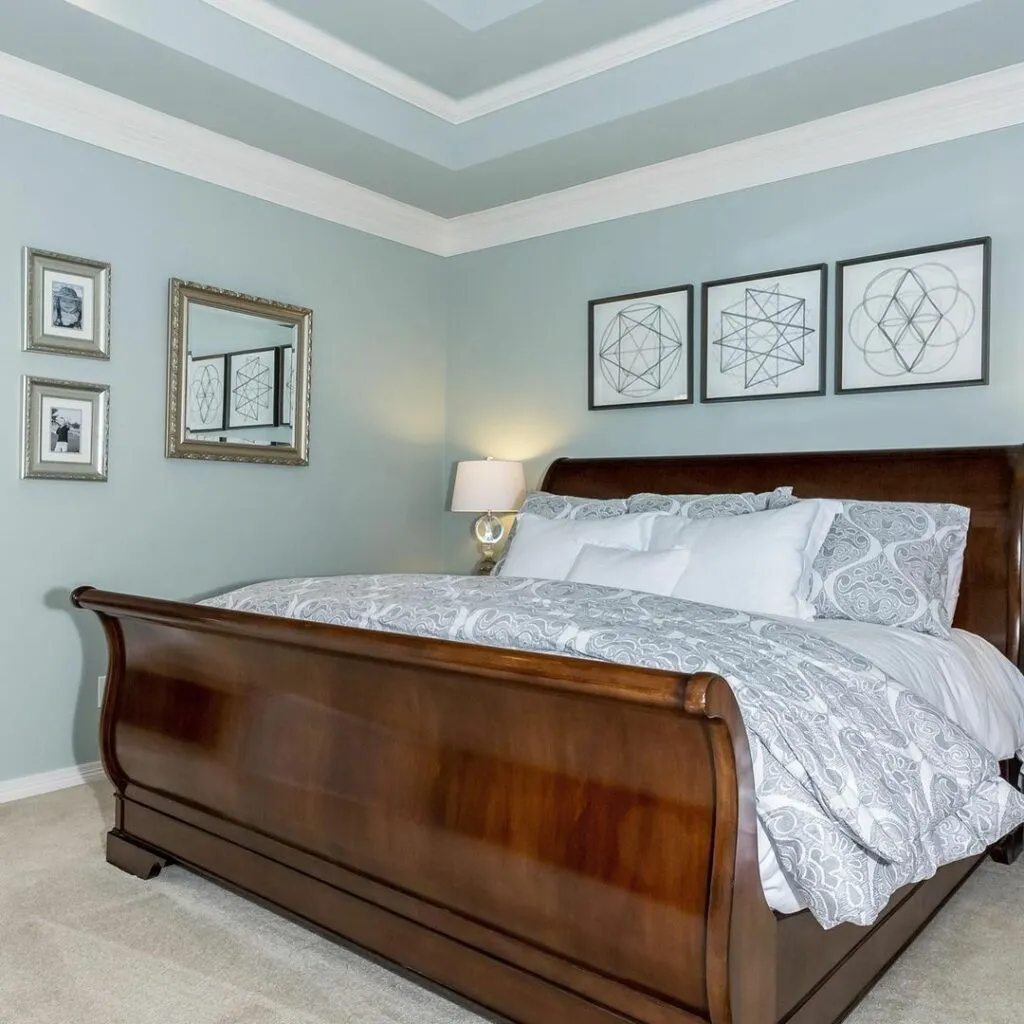 Sherwin Williams Rainwashed Bedroom