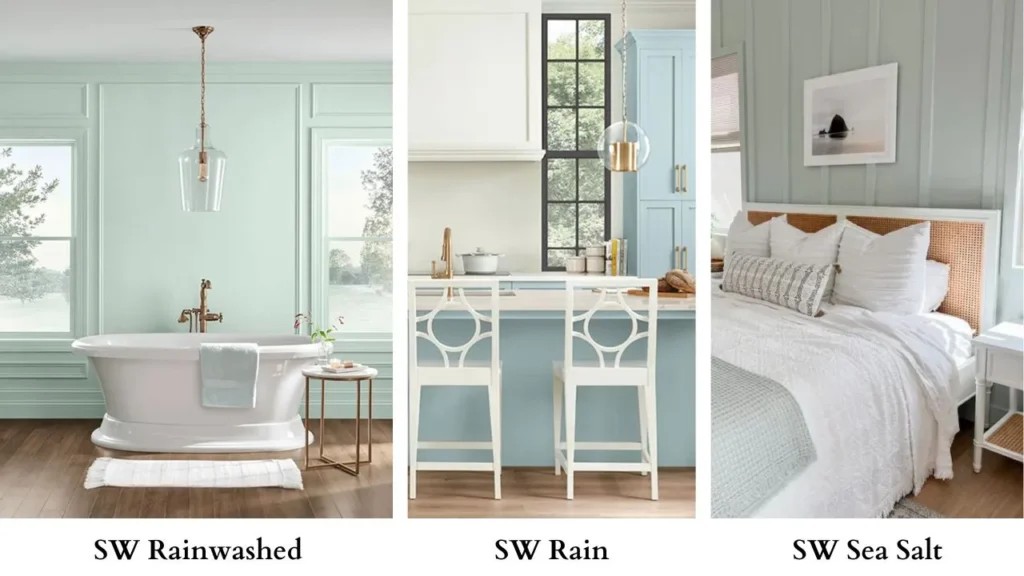 Sherwin Williams Rainwashed Vs Rain Vs Sea Salt