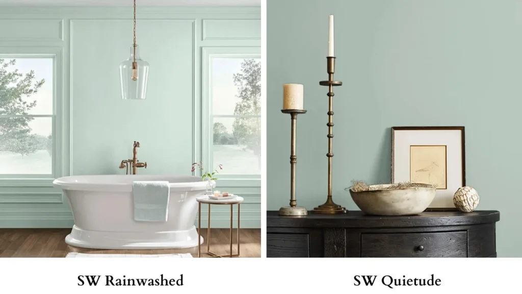 Sherwin Williams Rainwashed Vs SW Quietude