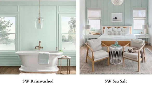 Sherwin Williams Rainwashed Vs Sea Salt Featured Image