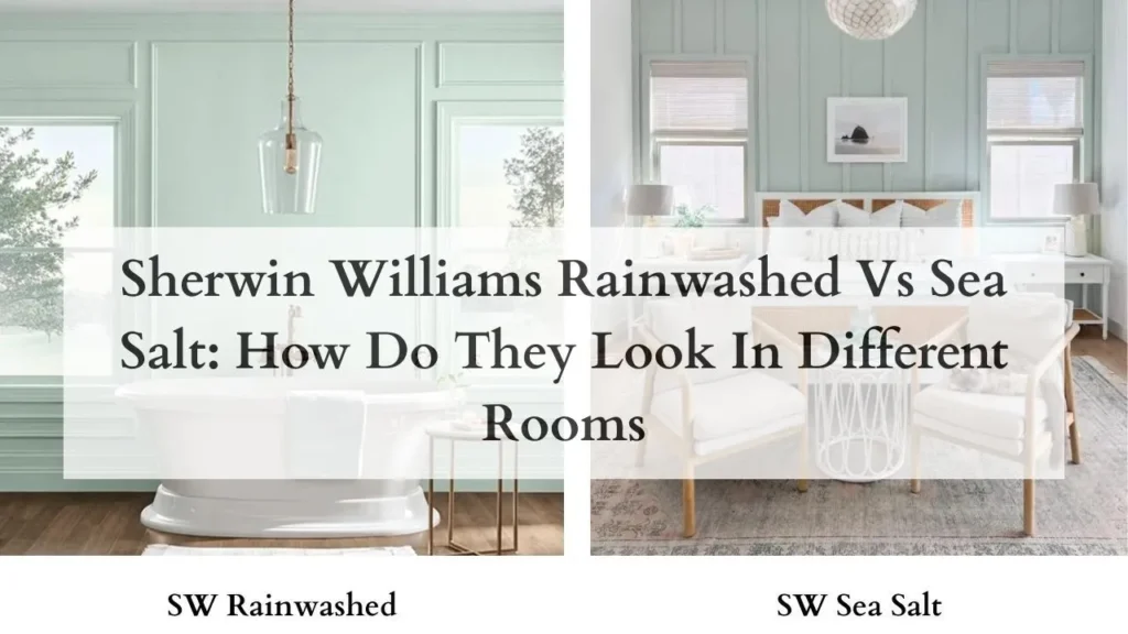 Sherwin Williams Rainwashed Vs Sea Salt How Do They Look In Different Rooms