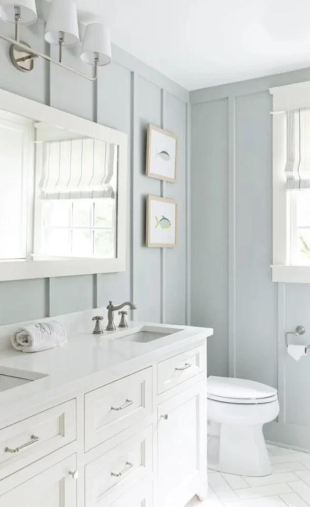 Sherwin-Williams-Sea-Salt-Bathroom