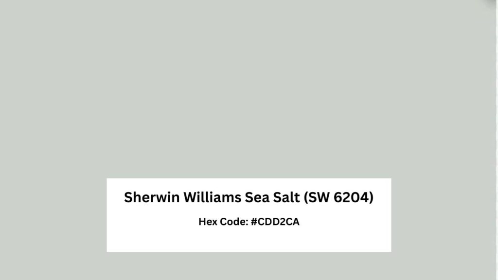 Sherwin Williams Sea Salt (SW 6204)
