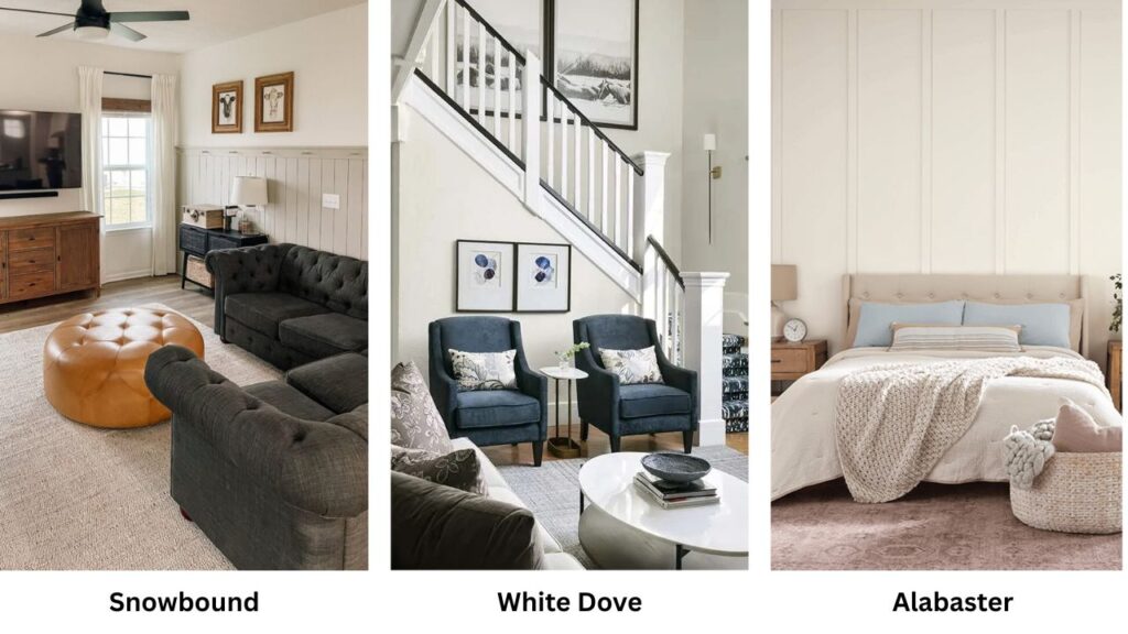 Snowbound Vs White Dove Vs Other Colors