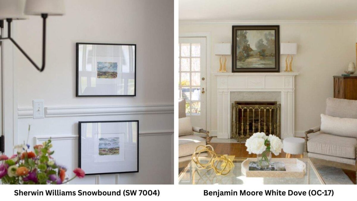 Snowbound Vs White Dove: Everything You Need to Know Before Choosing