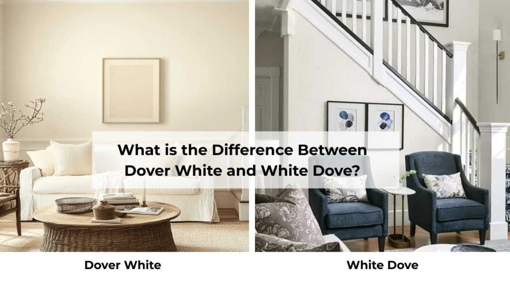 What is the Difference Between Dover White and White Dove?