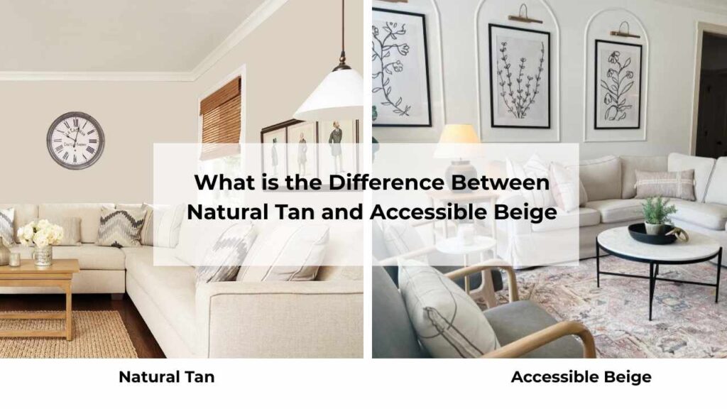 What is the Difference Between Natural Tan and Accessible Beige