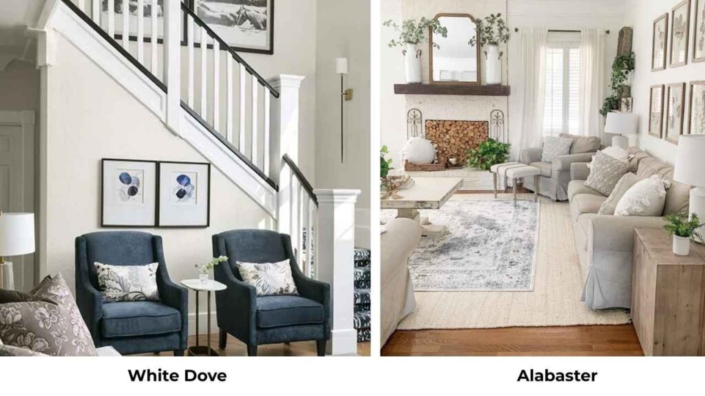 White Dove Vs Alabaster