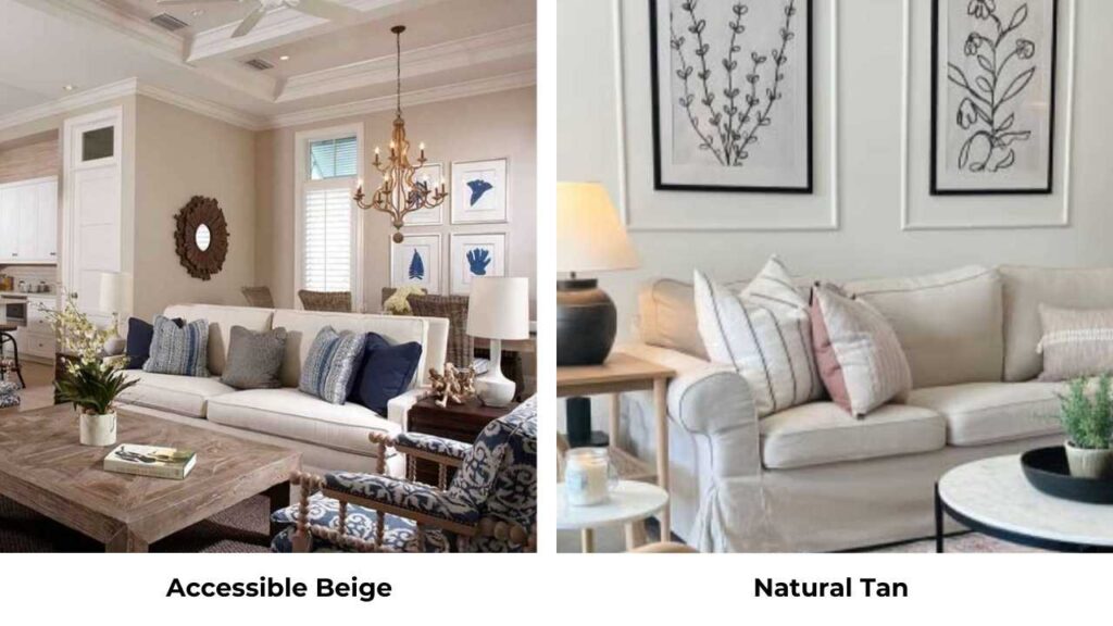 Accessible Beige Vs Natural Tan
