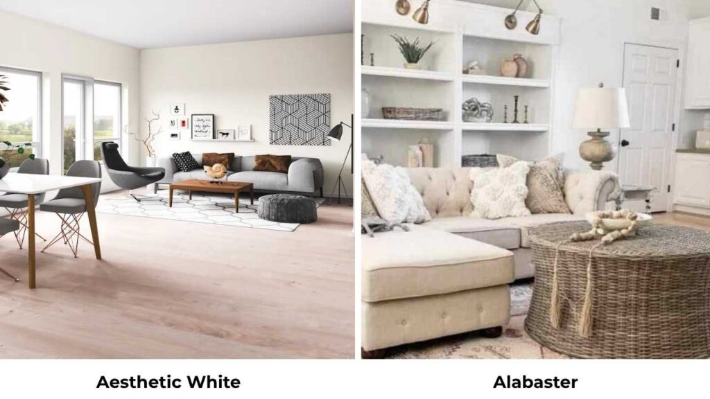 Aesthetic White Vs Alabaster