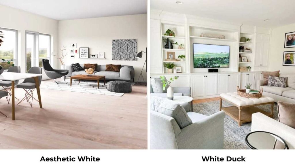 Aesthetic White Vs White Duck
