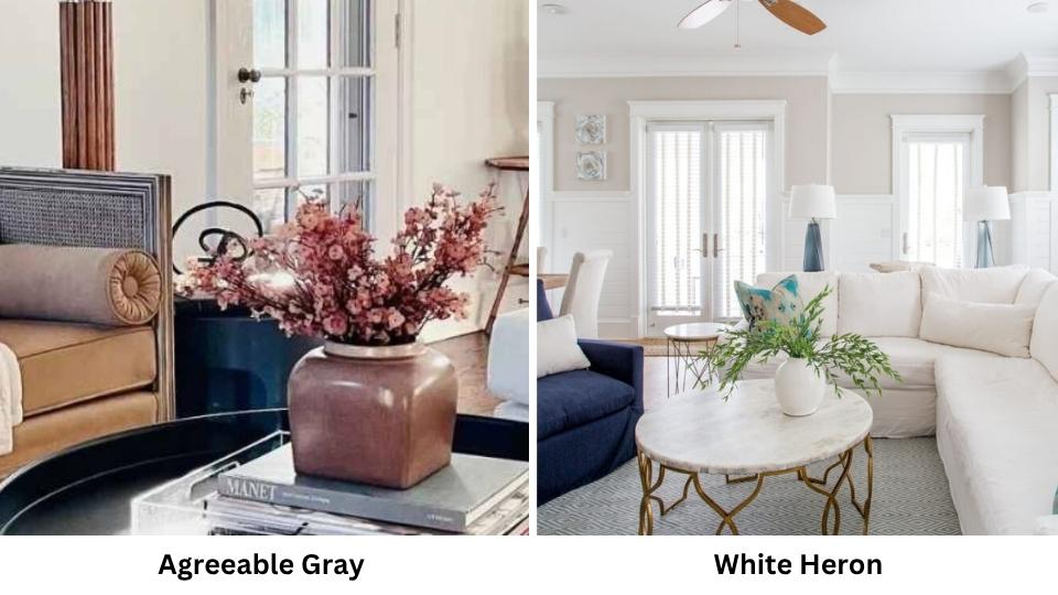 Agreeable Gray Vs White Heron