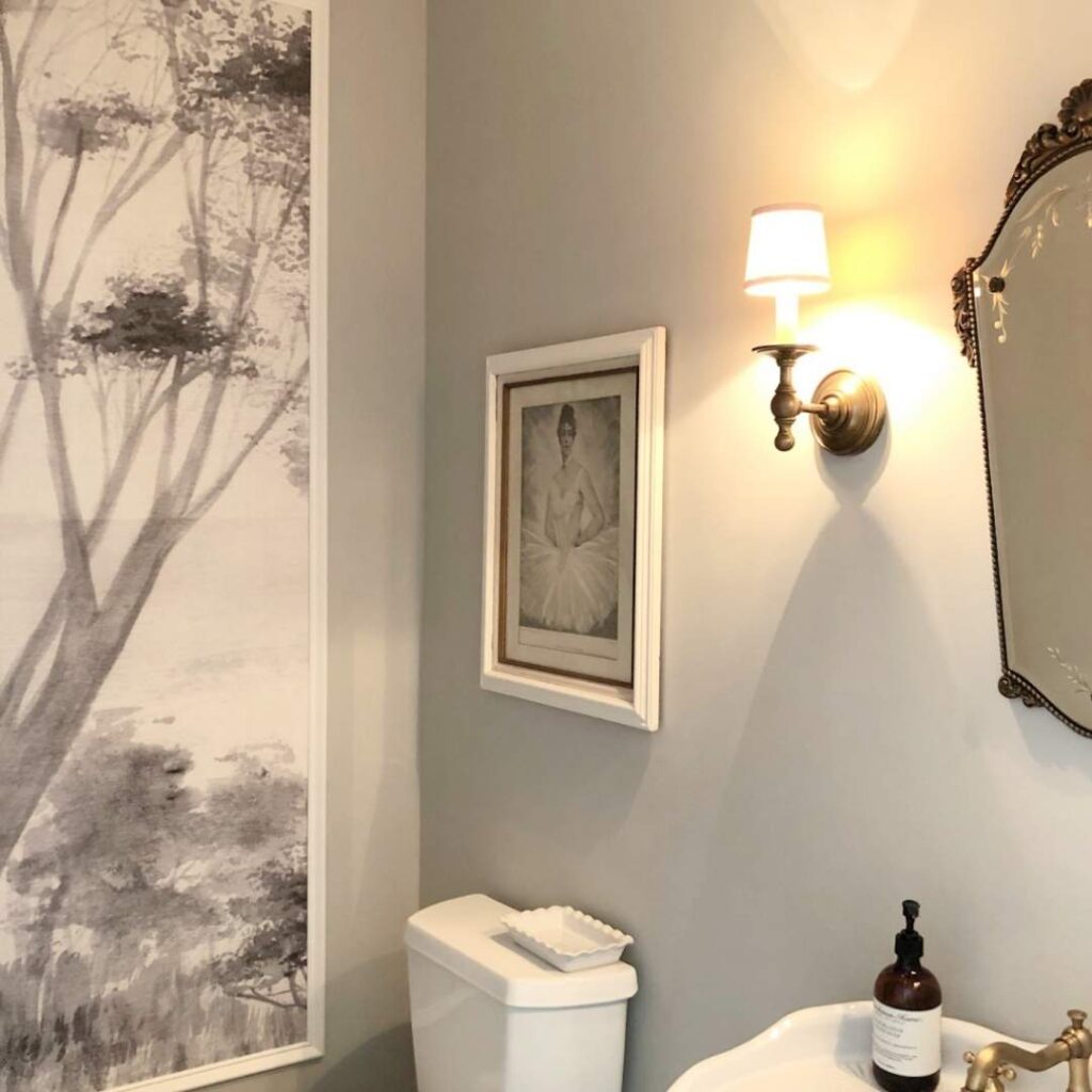 Agreeable Gray in bathroom