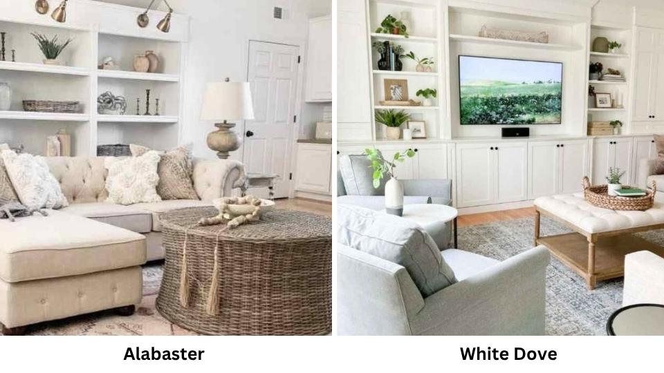 Alabaster Vs White Dove