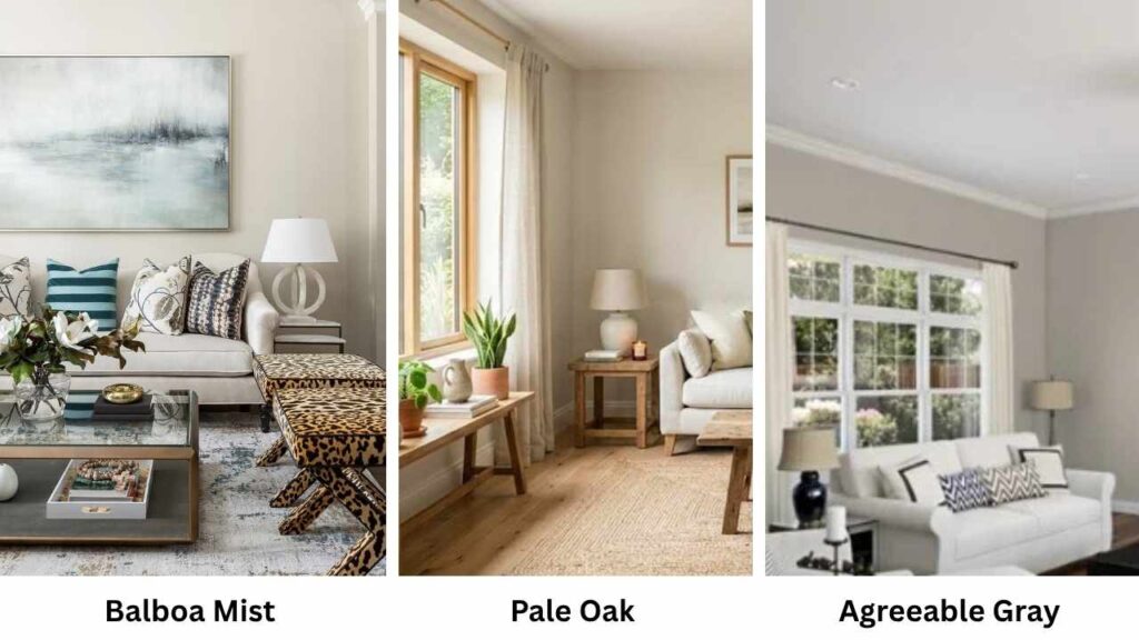 Balboa Mist Vs Pale Oak Vs Agreeable Gray