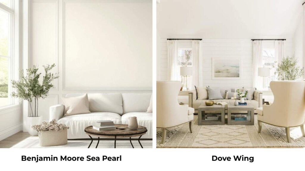 Benjamin Moore Sea Pearl Vs Dove Wing