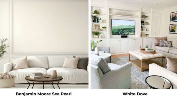 Benjamin Moore Sea Pearl Vs White Dove: Lighting, Undertones, and Room-by-Room Guide Featured Image