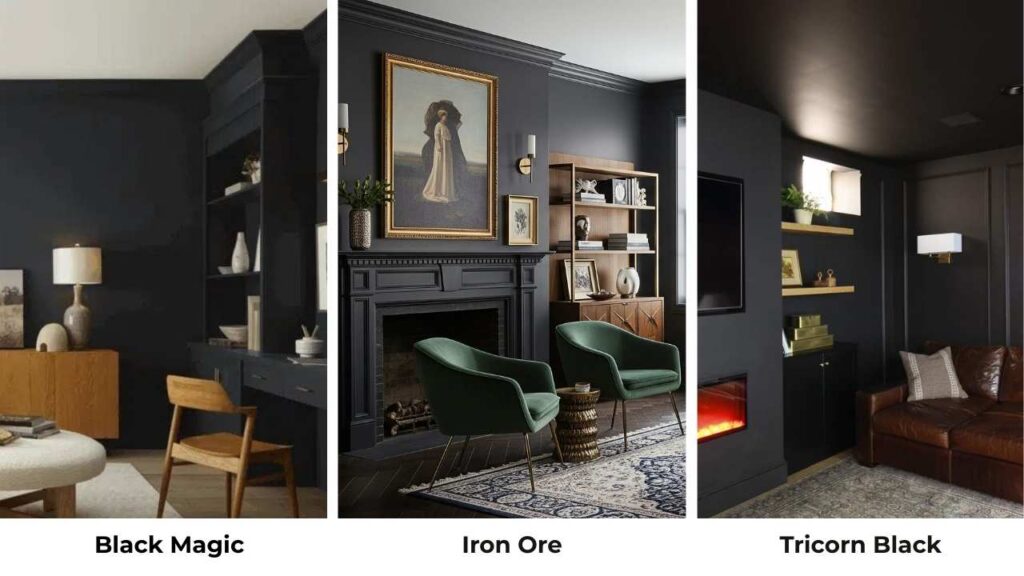 Black Magic Vs Iron Ore vs Tricorn Black