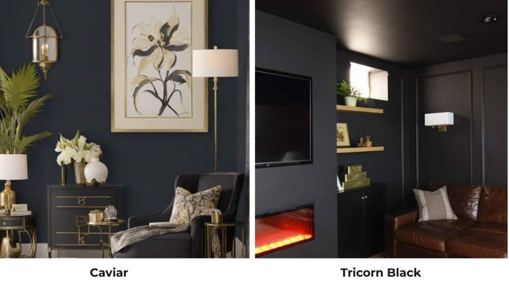 Caviar Vs Tricorn Black