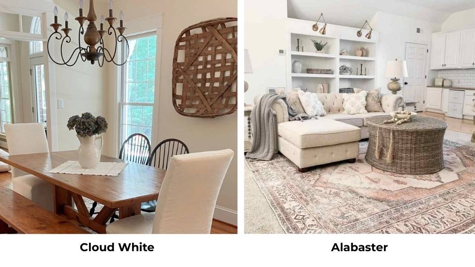 Cloud White Vs Alabaster