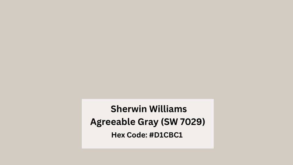 Color Overview of Sherwin Williams Agreeable Gray (SW 7029)