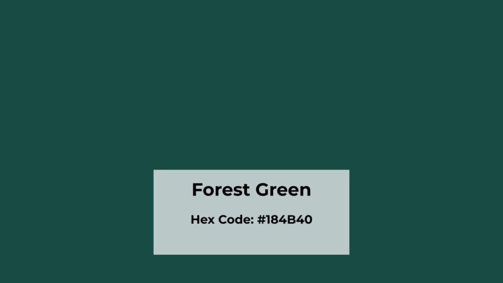 Color Profile of Forest Green