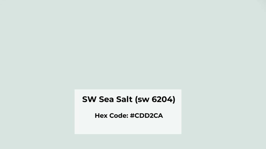 Color Profile of Sherwin Williams Sea Salt (SW 6204)