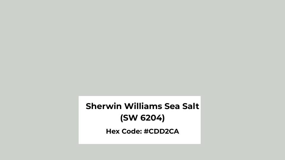 Color Profile of Sherwin Williams Sea Salt (SW 6204)