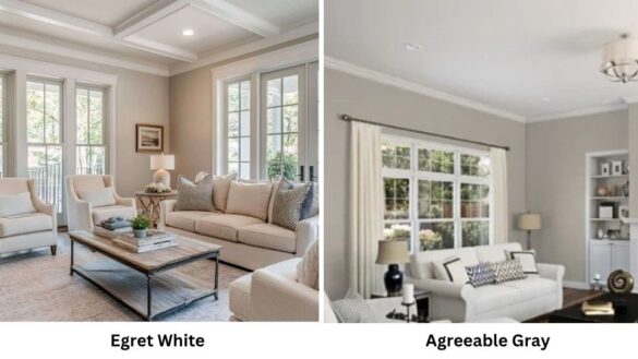 Egret White Vs Agreeable Gray: A Complete Paint Color Comparison Guide Featured Image