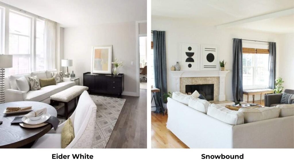 Eider White Vs Snowbound