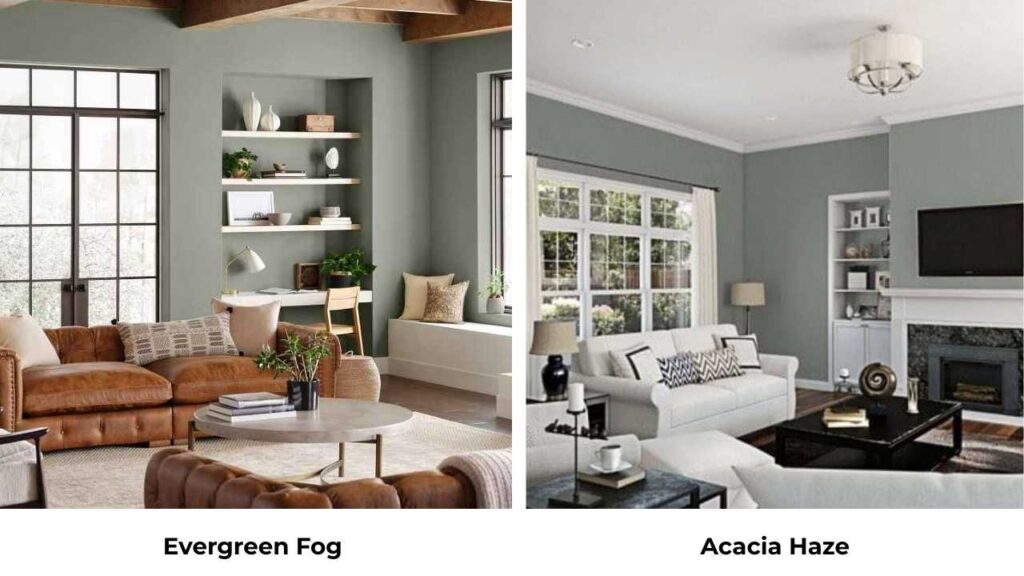 Evergreen Fog Vs Acacia Haze