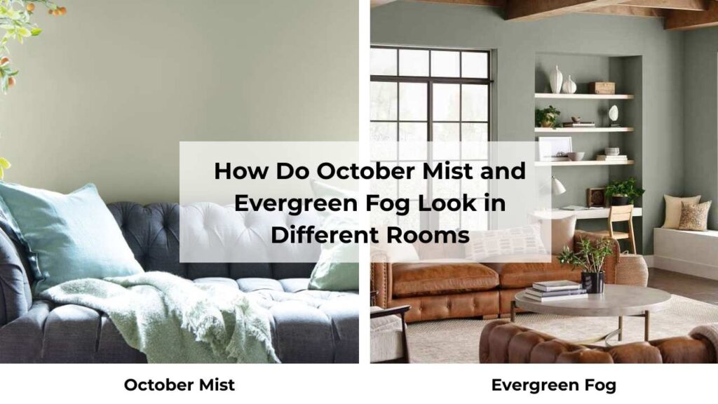How Do October Mist and Evergreen Fog Look in Different Rooms