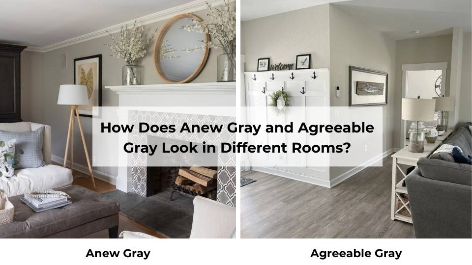 How Does Anew Gray and Agreeable Gray Look in Different Rooms
