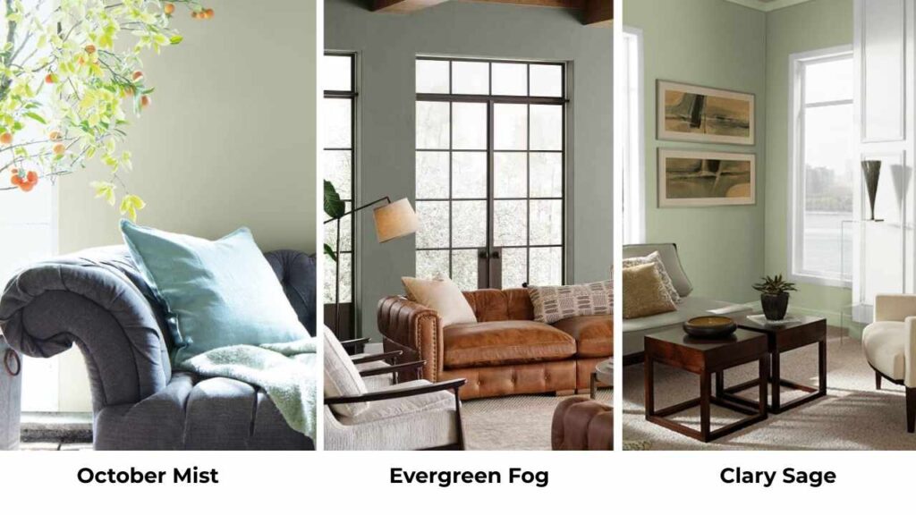 October Mist Vs Evergreen Fog Vs Other Colors