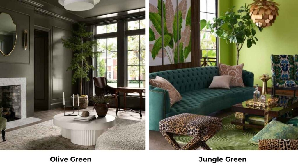 Olive Green Vs Jungle Green