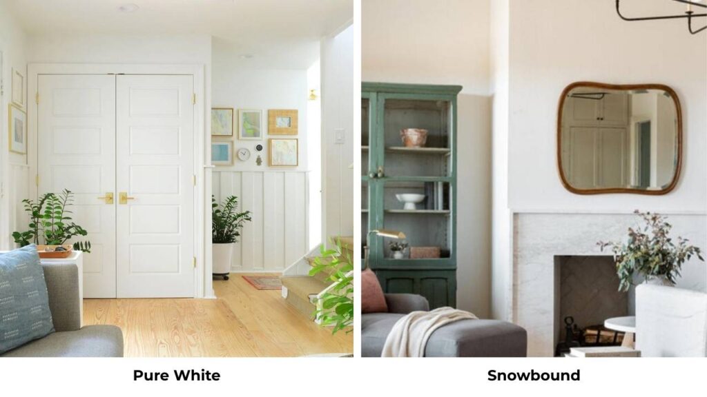 Pure White Vs Snowbound