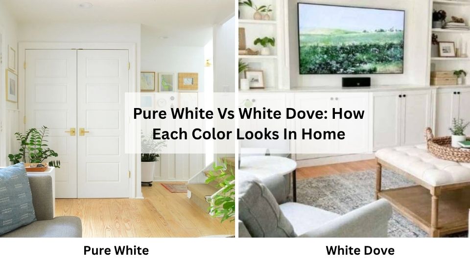 Pure White Vs White Dove: How Each Color Looks In Home