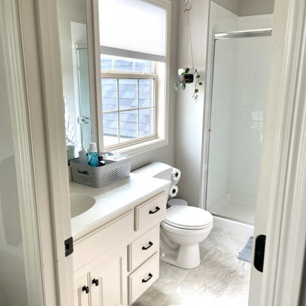 Revere Pewter in bathroom