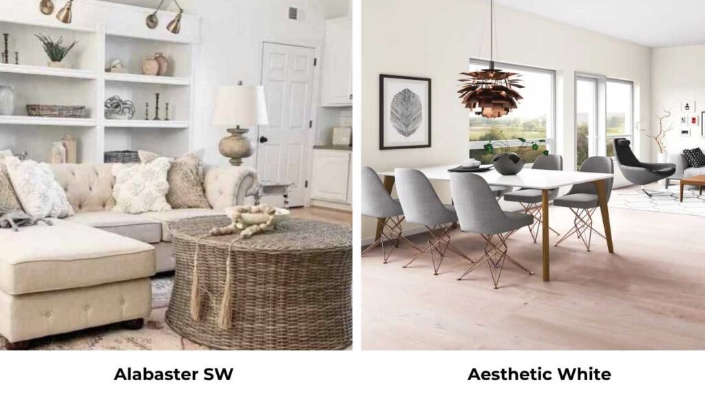 SW Alabaster Vs Aesthetic White