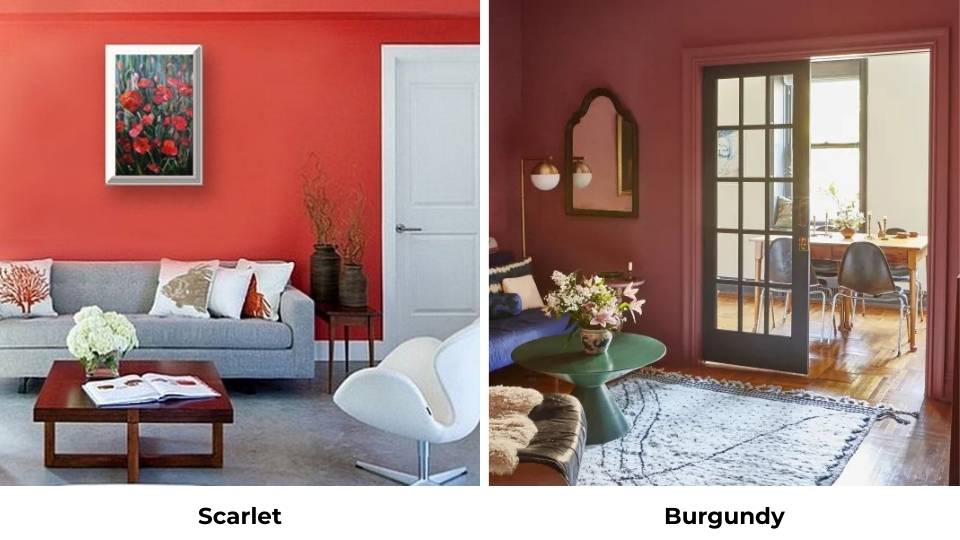 Scarlet Vs Burgundy